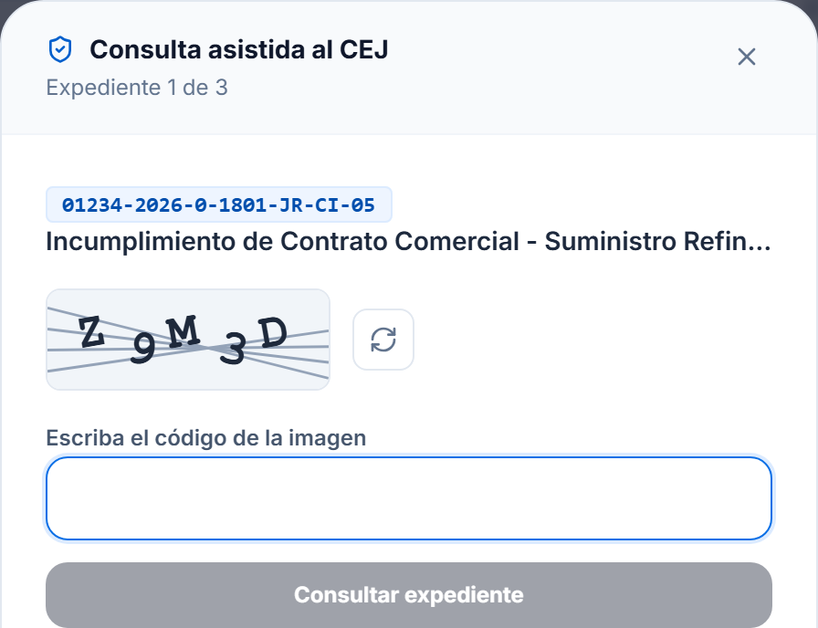 Ventana de consulta asistida con la imagen del captcha y el campo para escribir el código.